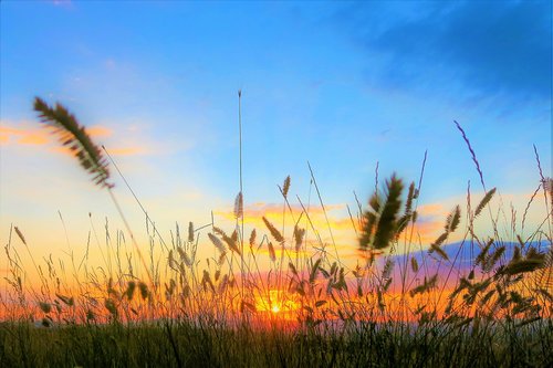 sunset  in the evening  sky