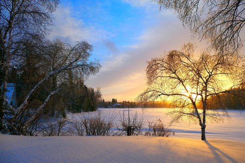 sunset  nature  landscape