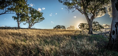 sunset  evening  landscape