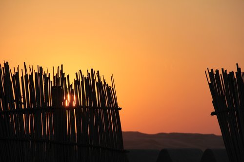 sunset  desert  landscape