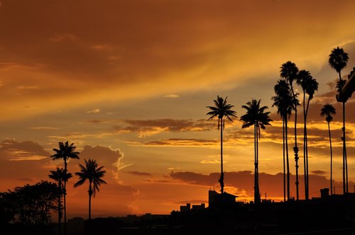 sunset  landscape  nature