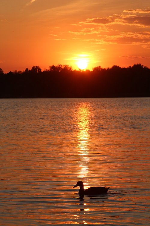 sunset  water  lake