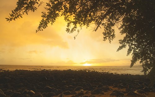 sunset  beach  silhouette