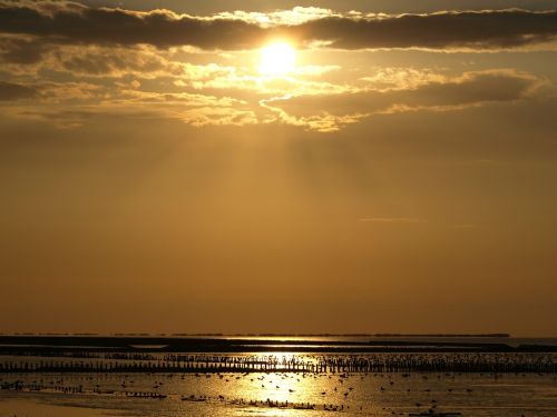 sunset wadden sea watts