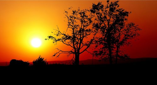 sunset  nature  landscape