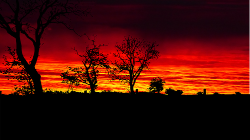 sunset  nature  landscape