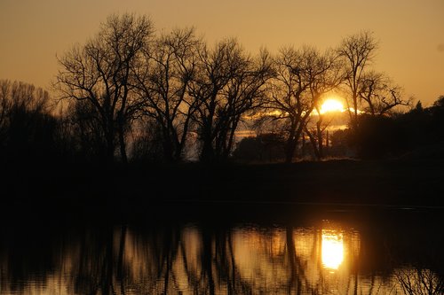 sunset  silhouette  trees