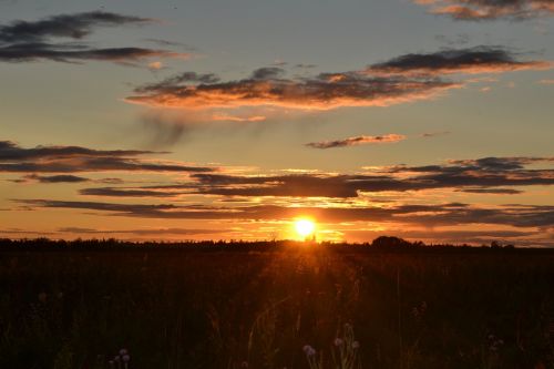 sunset nature sun