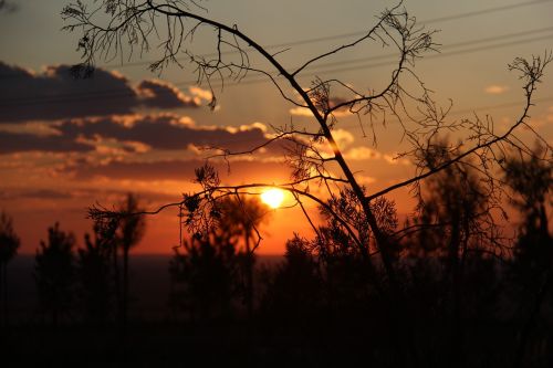 sunset the scenery natural