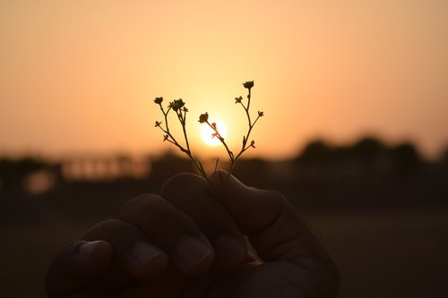 sunset  nature  landscape