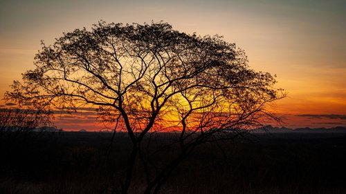 sunset  sky  twilight