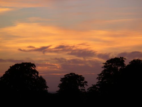 sunset nature evening sky