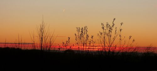 sunset silhouette colorful