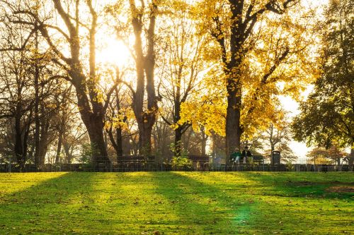 sunset autumn nature