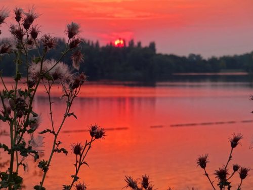 sunset thistle lake