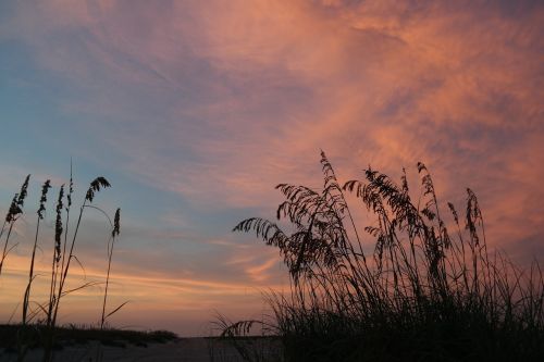 sunset beach nature