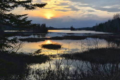 sunset nature marsh