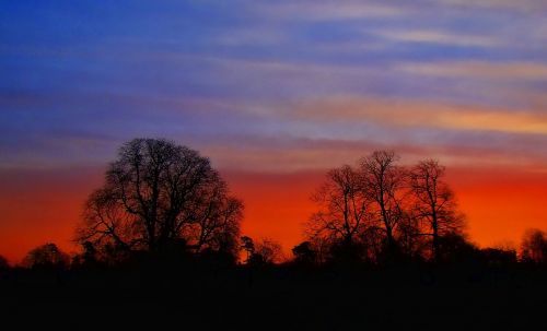 sunset nature forest