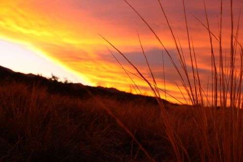 sunset grass sky