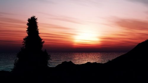 sunset sea tree