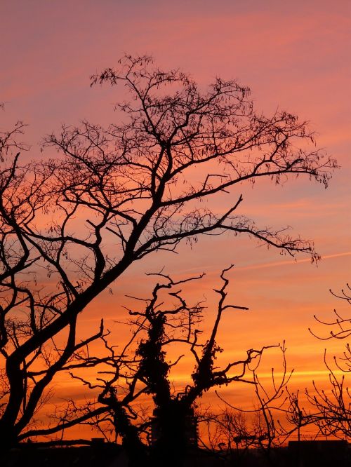 sunset afterglow clouds