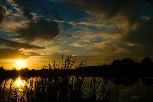 sunset nature water