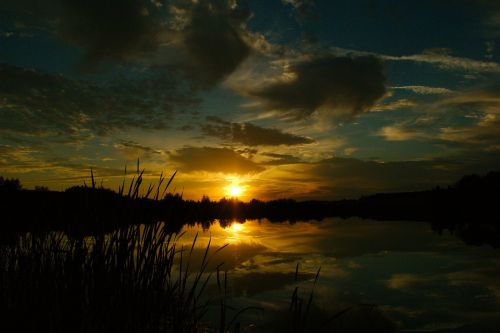 sunset nature water