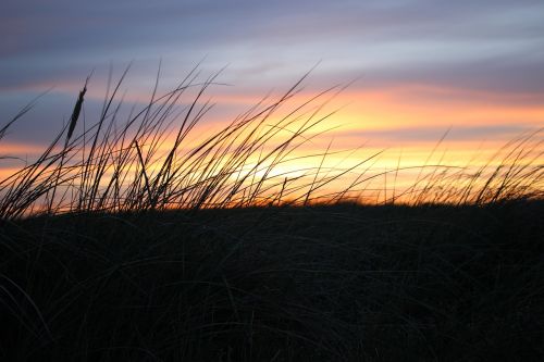 sunset dune landscape