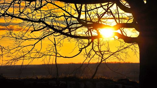 sunset light nature