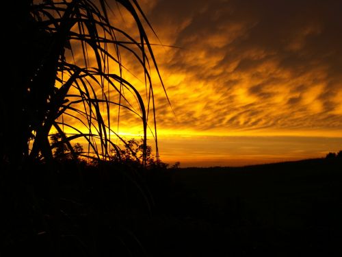 sunset schorfheide garden