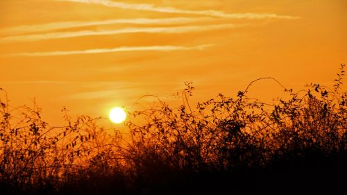 sunset summer yellow