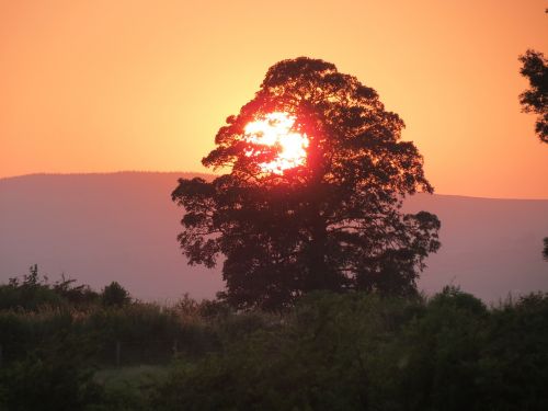 sunset summer sunset summer evening