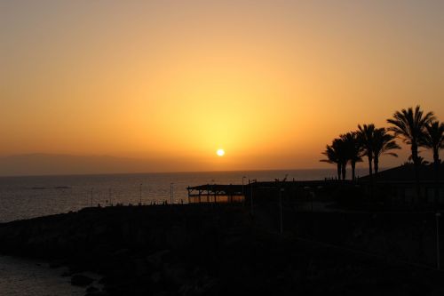 sunset sea palm trees