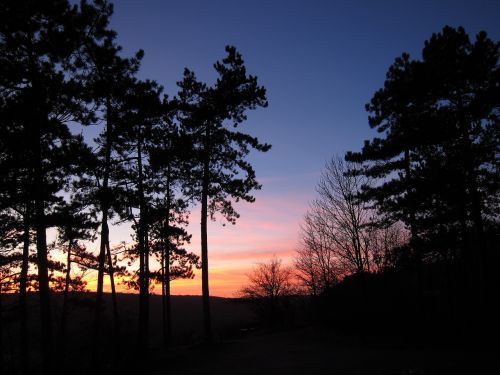 sunset forest abendstimmung