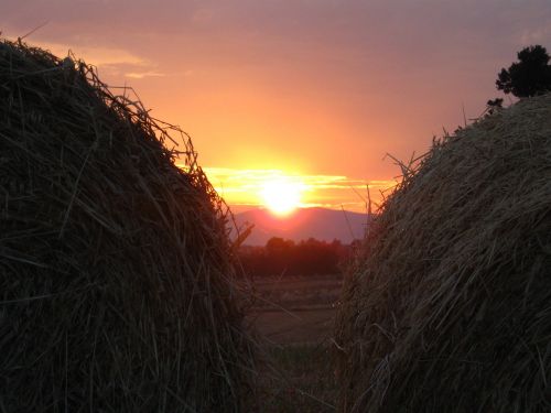 sunset water drop hay
