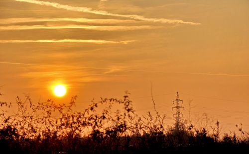 sunset nature in the evening