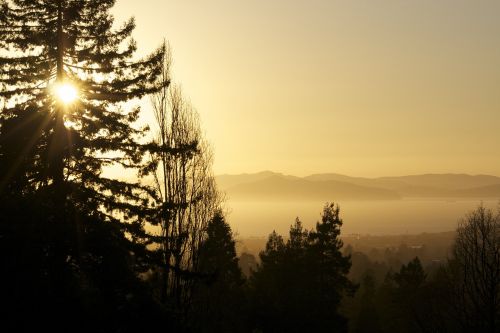 sunset silhouette nature