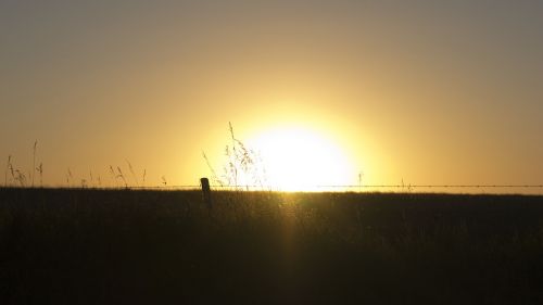 sunset fence field