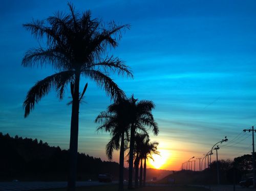 sunset landscape coconut trees