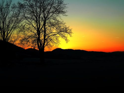 sunset tree sun