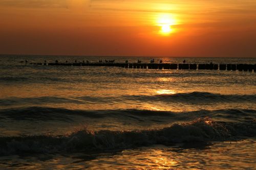 sunset beach silhouette