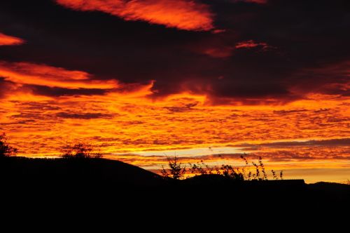 sunset about forest