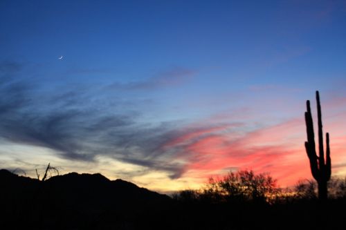 sunset silhouette desert