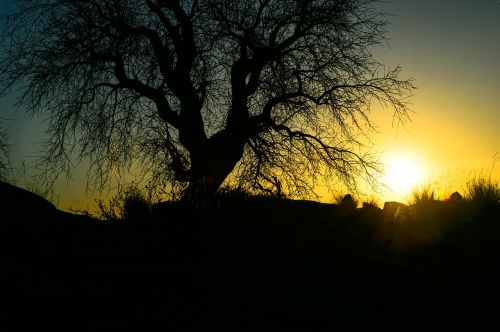 sunset namibia nature