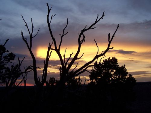 sunset twilight landscape