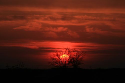 sunset sun red