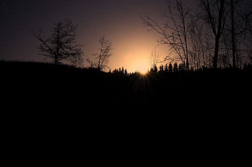 sunset trees nature