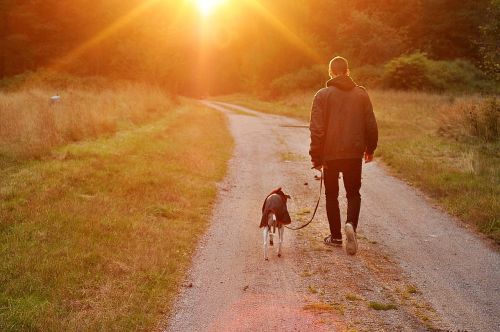 sunset dog owner