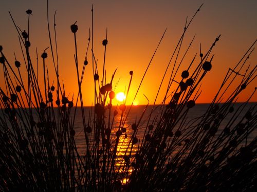 sunset west beach south australia