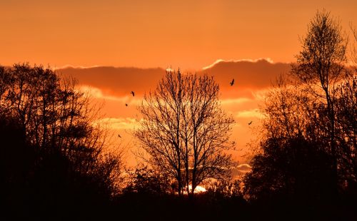 sunset red afterglow